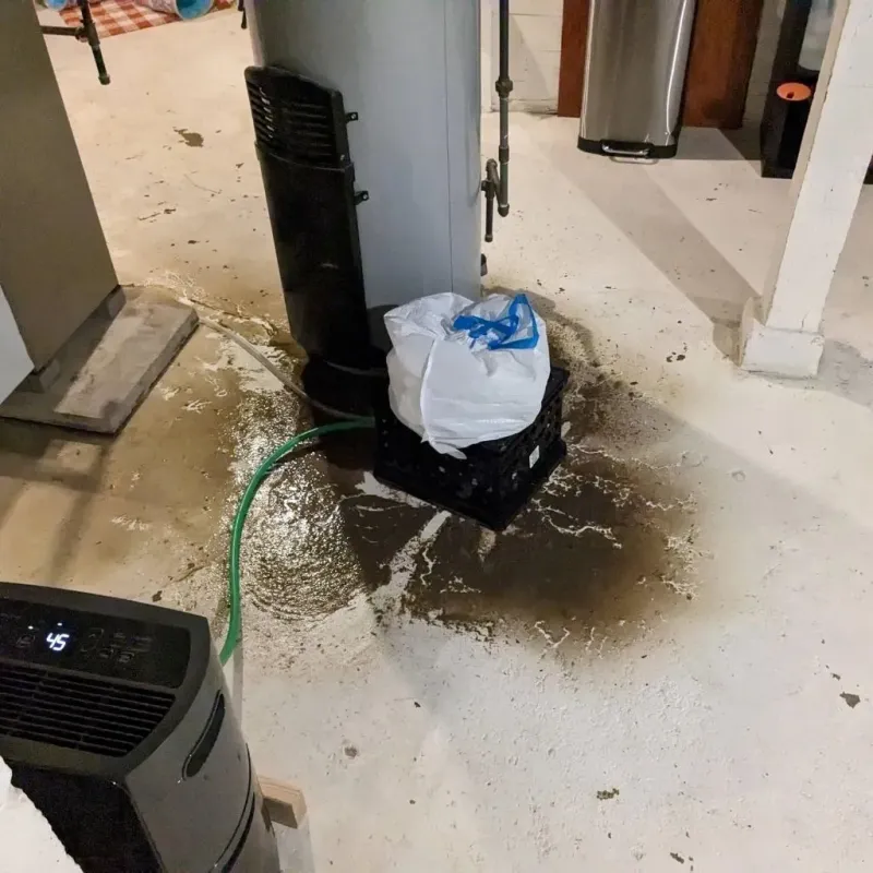 Sewage Backup Cleanup Service in Park Hills, MO